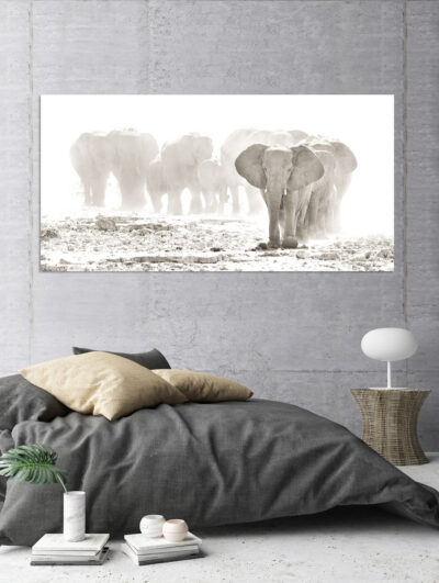 Etosha Elephants