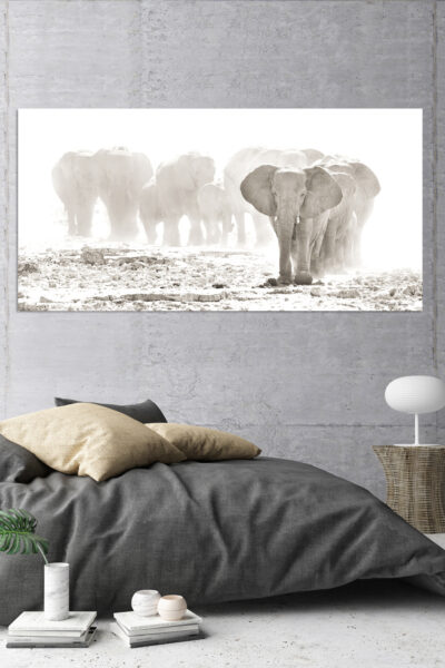 Etosha Elephants