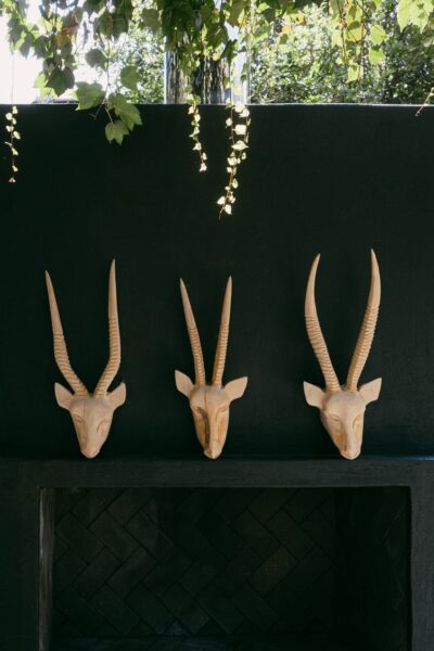 Antelope Heads