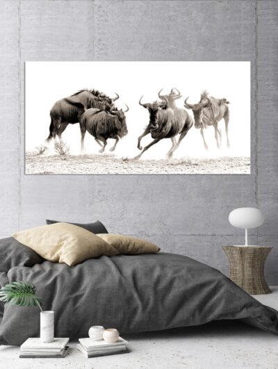 Wildebeest Stampede