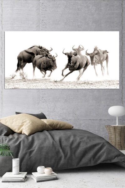 Wildebeest Stampede