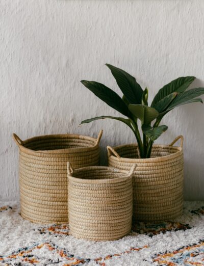 Malawi Planters